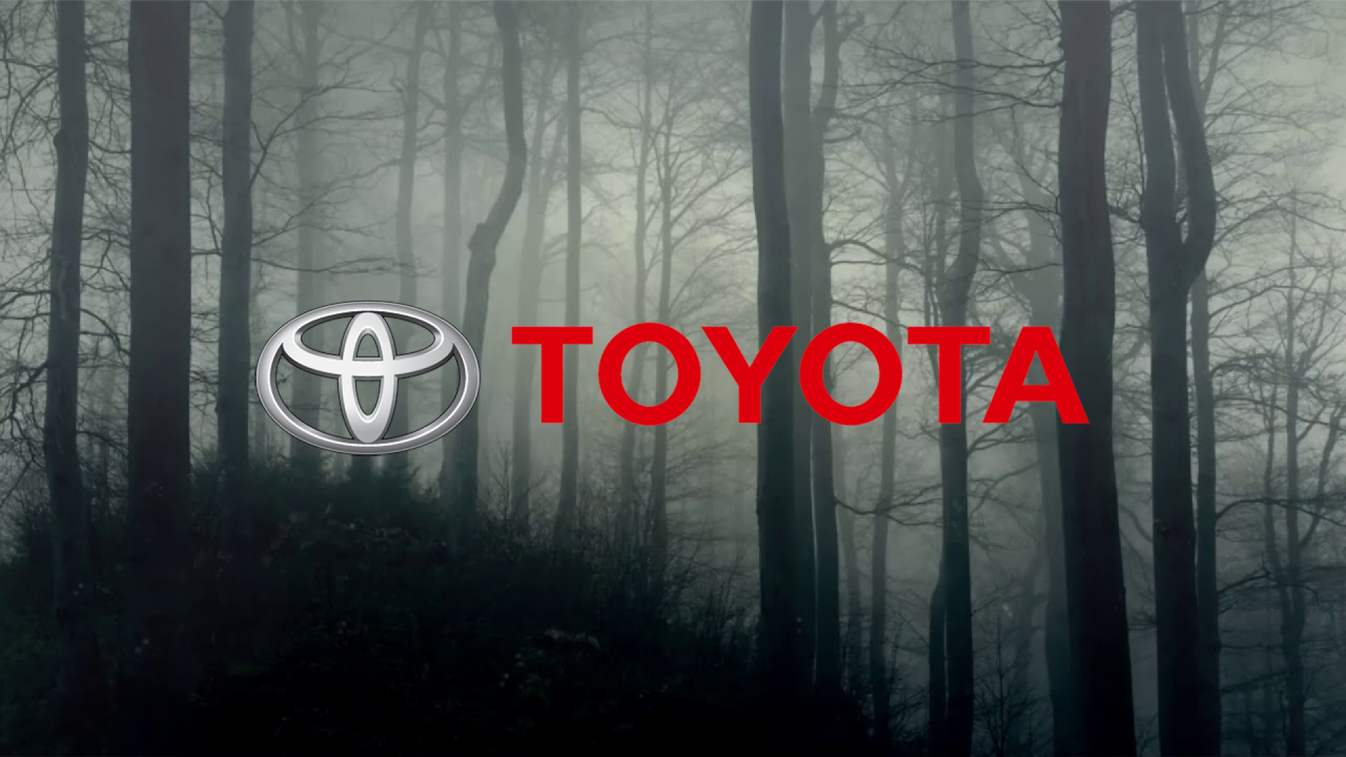 Abbildung von Toyota Commercial